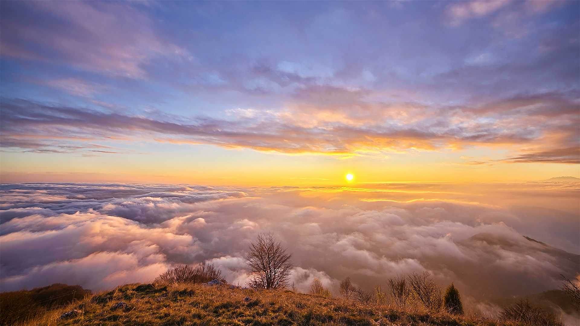 香港六合彩开奖网