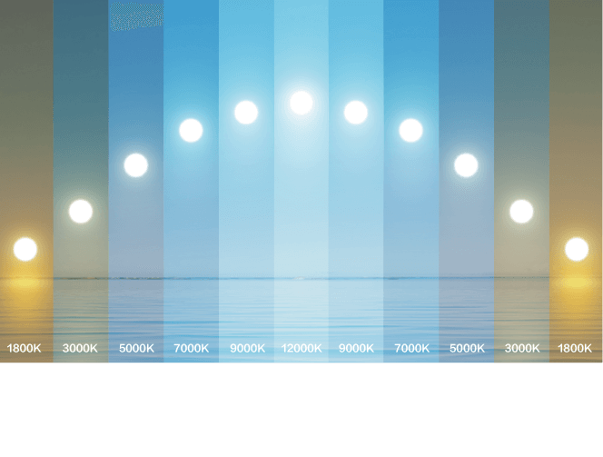 香港六合彩开奖网